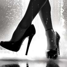 Rose_wetheels: 