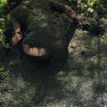 QS4Ever: Black Bottomless Forest Mud: Angel
