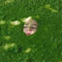 QS4Ever: Environmental Pollution: Tiny