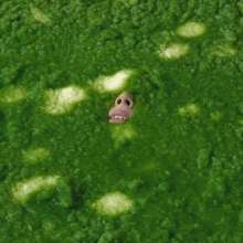 QS4Ever: Environmental Pollution: Tiny