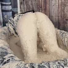 Messygirl: Horny Farm Girl in Pig Slop