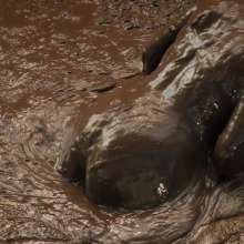 QS4Ever: Luna Lee in Melted Chocolate