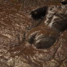 QS4Ever: Luna Lee in Melted Chocolate