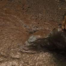 QS4Ever: Luna Lee in Melted Chocolate