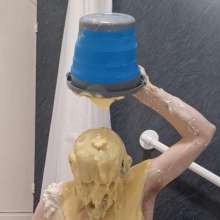 LeRex: Custard and the meltdown