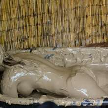 dlodoski: Nikko Jordan, Sexy in the Mud Bath--Photos