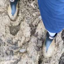 MuddySideUp: Muddy Short Wellies02