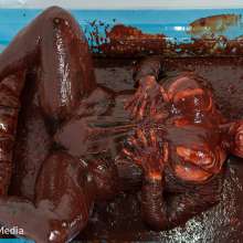 DMarieAllWet: Orgasmic Fun Covered in Chocolate!