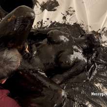 Messygirl: New Messygirl Blowjobs Video with Payton