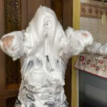 Wam Bagheera Studio: Penance of Foam Pies and Chocolate; The Party Continues!