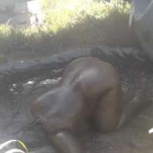 Darkabyss445: Sexy Mud Slut in Muddy Jeans