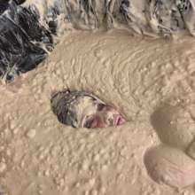 Messygirl: Slop Covered Cruella