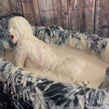 Messygirl: Slop Covered Cruella