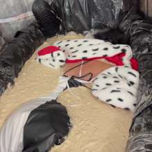 Messygirl: Slop Covered Cruella