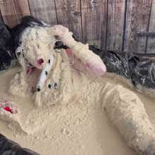 Messygirl: Slop Covered Cruella