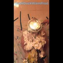 DuckDuckWam: Student Trashed and Gagged with Panties
