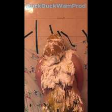 DuckDuckWam: Student Trashed and Gagged with Panties