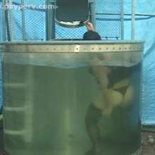 doctor_splash: New Dunk Tank Download Featuring Safa in a Black Teddy