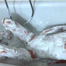 Your Wet Cat: Unexpected Surprise for Massage Cream, Playing with Pussy