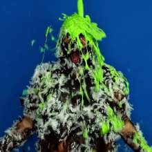 The Man and The Wife: New Download- 'Violet: Tar and Feathered 3 Times... and Green Slimed'