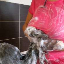 Lara_eurowam: After Oil Fun a Little Hair Wash Fun with Evelina and Me-S10