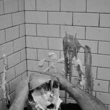 Wamlanta: Big bearded guy gets pied and slimed