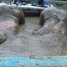 Jayce: Fuck Machine in Mud Pit w/ Brooklyn!  The Hom has been naughty this year!