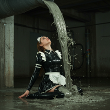 voith: 