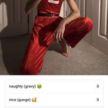 ldnxb: Naughty or Nice Xmas Poll