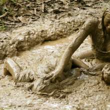 dlodoski: Sisters (in law) Mud Wrestling--Photos--Holiday Sale