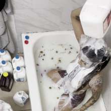 ms-pie-oneer: Ms-Pie-oneers First Milk and Honey Bath
