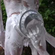 pyd2222: Pie-Sexual Plus Short Scene of Guys Getting into Thongs