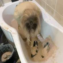 MessyForever: 