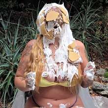 Anglefan: New custom pie video