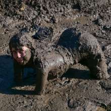 Lara_eurowam: New mud video in downloasd store and on wam.tv