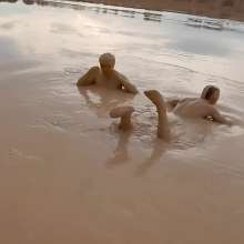TannerQS: Tanner and Muddylynx Explore Quarry Clay :3