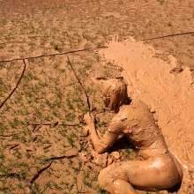 TannerQS: Tanner's Erotic Mud Fun