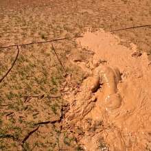 TannerQS: Tanner's Erotic Mud Fun
