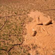 TannerQS: Tanner's Erotic Mud Fun