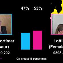 RevSlymsford: The Gungetank Vote: Ex Footy Pro V Female Sports Presenter