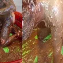 messybadger: Two Studs and a Whole Lotta Sploshing!