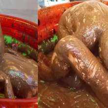 messybadger: Two Studs and a Whole Lotta Sploshing!
