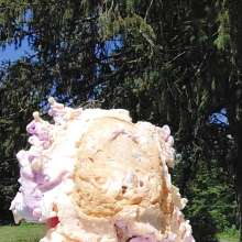 foampie77: 
