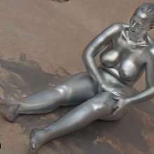 FOXY: Video  "silver curves"