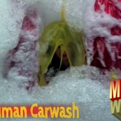 LiquidX: The Human Carwash: Do I Look Nervous?