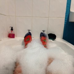 jamcustard22: Socks in the bath
