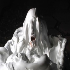 anthony10: Who else has produced a shaving cream tub video?