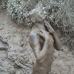 messy_mudder: 