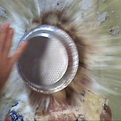 StrapOnPiegirls: Post New Years Sale - All videos $2.00 - Limited time