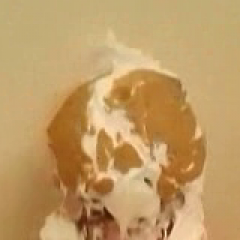 red: Just Me Pied